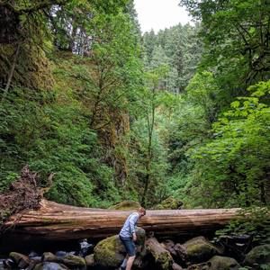 Meet your Posher, Nathan